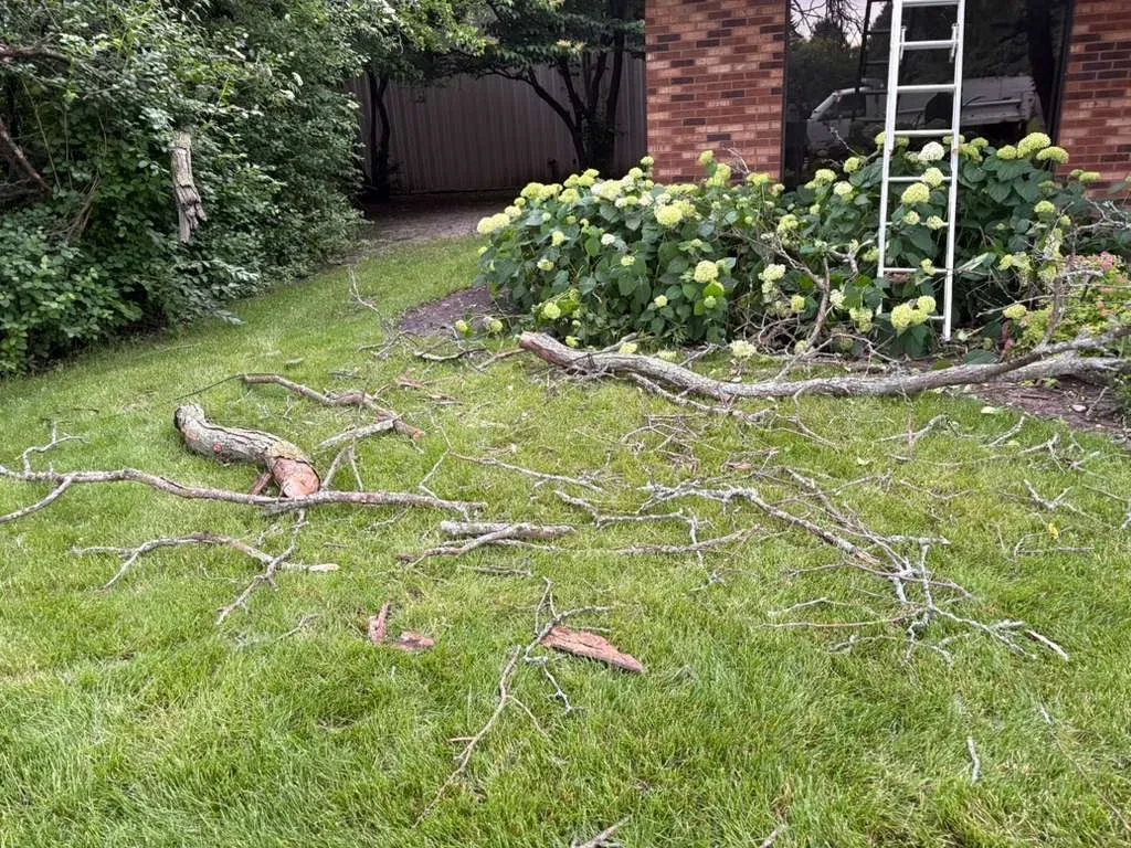 Branch Trimming